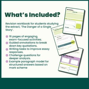'The Danger of a Single Story' Revision Workbook FREE