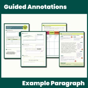 'The Danger of a Single Story' Revision Workbook FREE