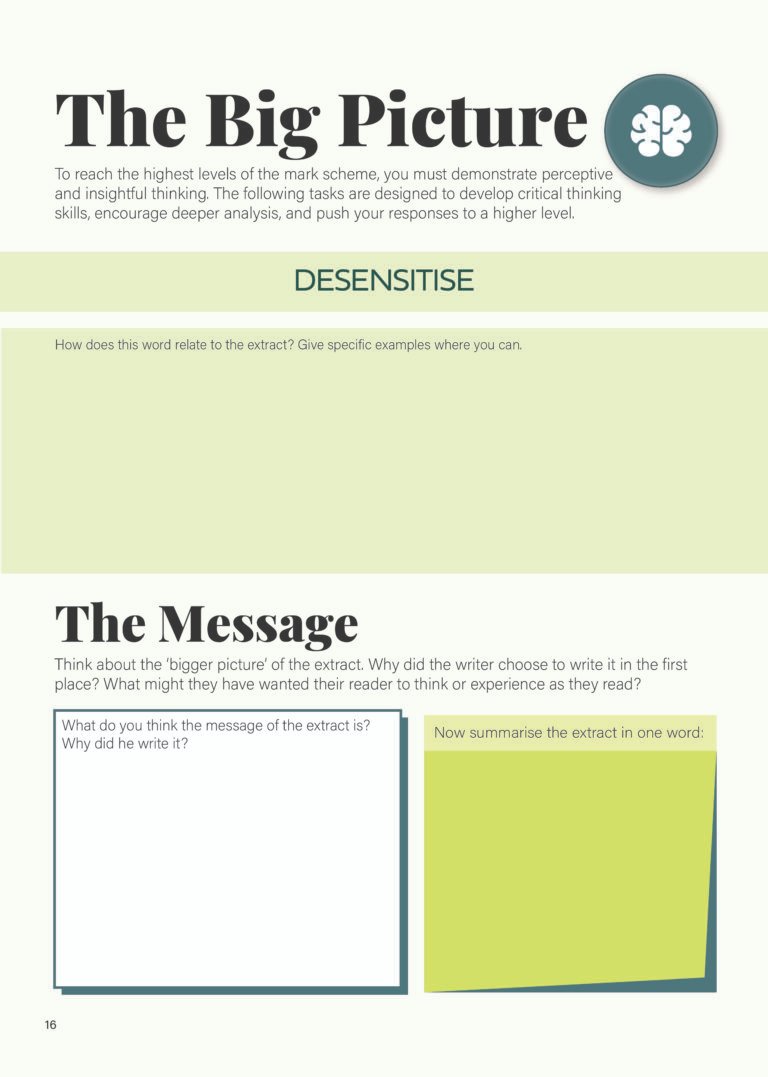 "The Big Picture" challenge questions and wider reading tasks for A Passage to Africa revision workbook.