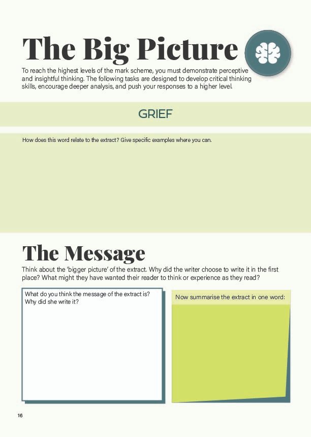 "The Big Picture" challenge questions and wider reading tasks for H is for Hawk.